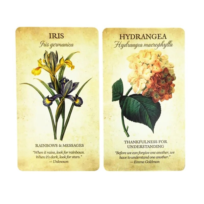 005 - Botanical Inspiration 44 Cards Oracle Deck