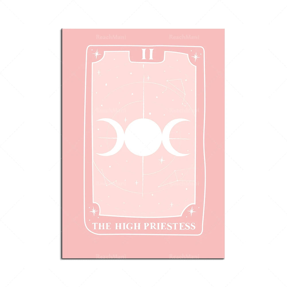 Pink Arcana Canvas Print