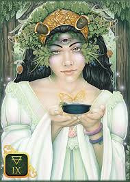 005 - Dreams of Gaia Tarot Deck for Gaian Divination